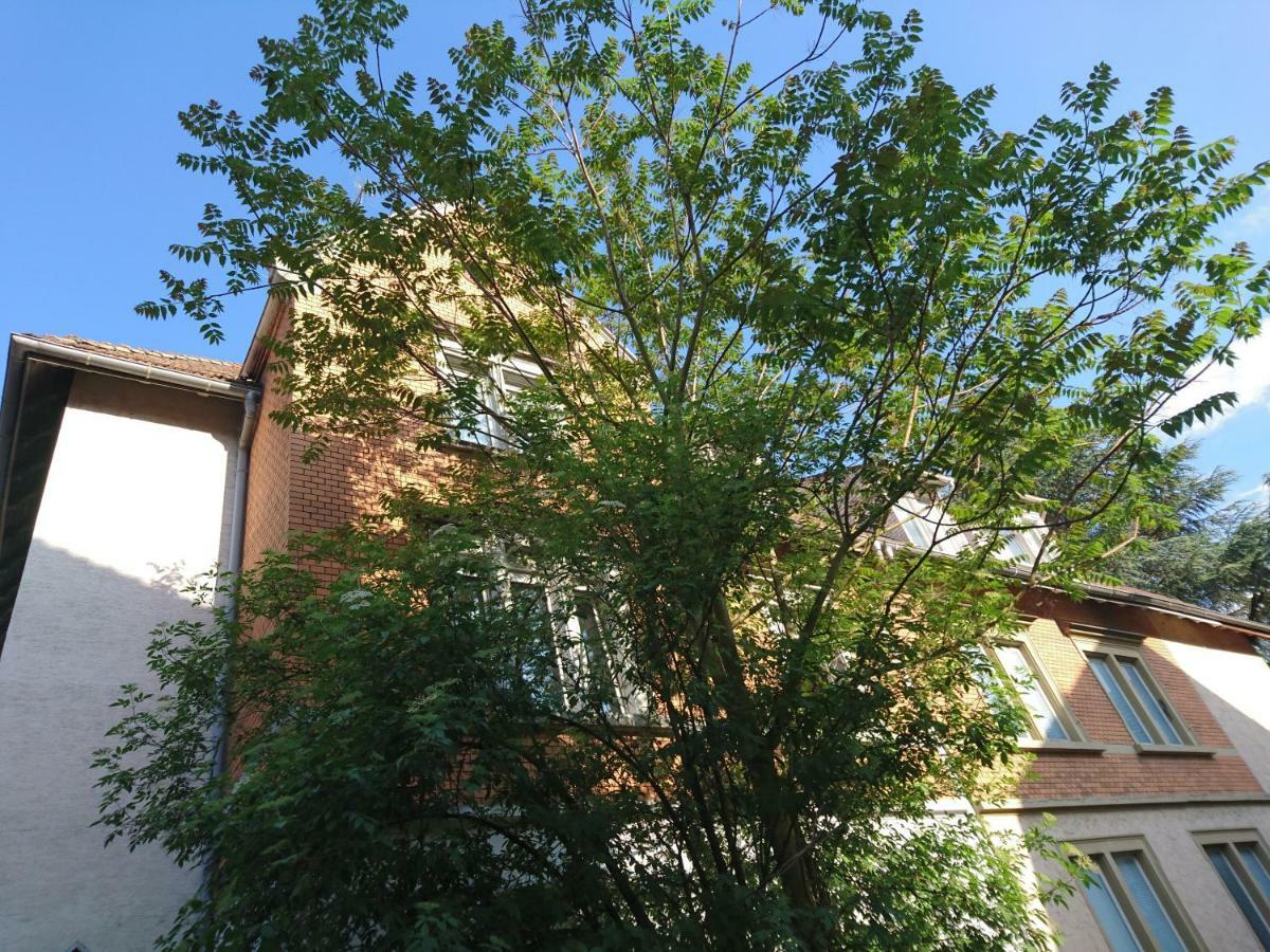 Nest City - Not A Hotel, Private Room With Shared Showers, No Parking, Breakfast, Or Kitchen, Towels Available For A Fee, Check-In 4 Pm To 11 Pm Konstanz Dış mekan fotoğraf